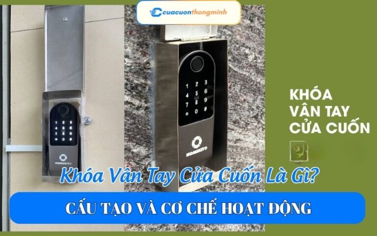 Khóa Vân Tay Cửa Cuốn Là Gì? Cấu Tạo Và Cơ Chế Hoạt Động